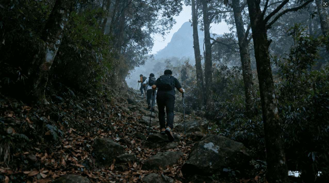 腾讯加速器助力推特流畅访问指南